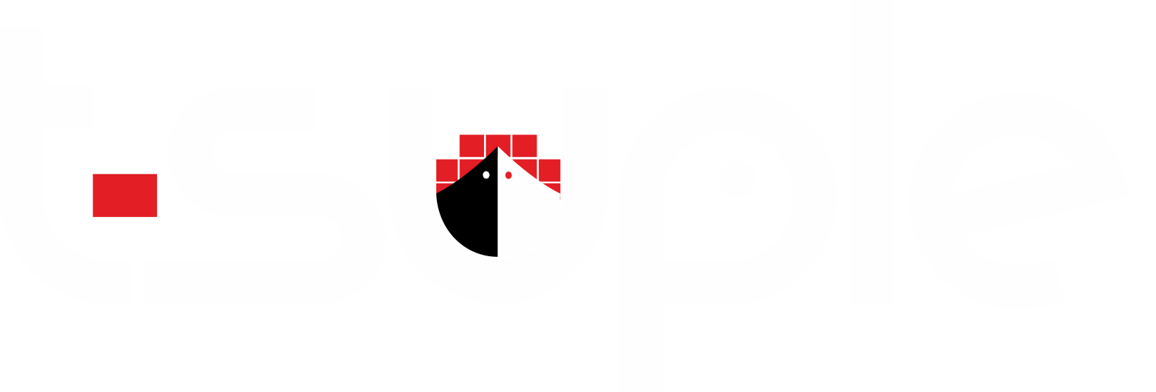 TSUPLE RD
